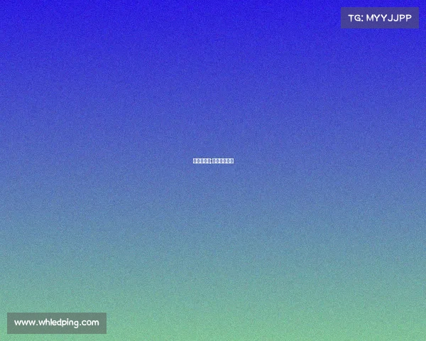 武汉赛事网;武汉赛事官网