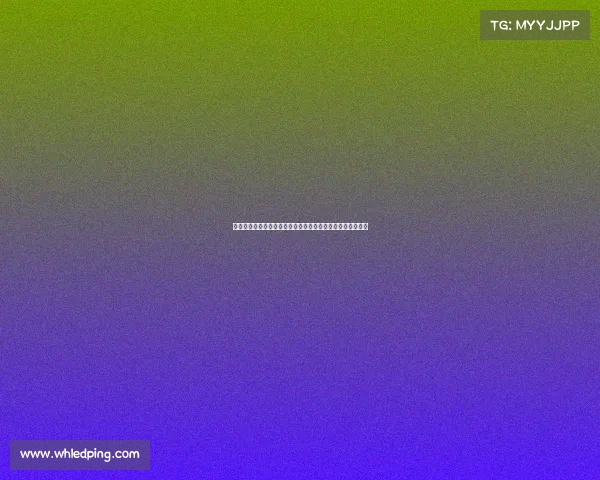 聚焦搏击赛事版权营销新策略拓展市场渠道实现多方共赢发展